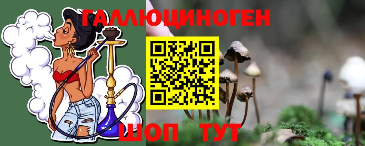 Псилоцибиновые грибы мухоморы Гусиноозёрск