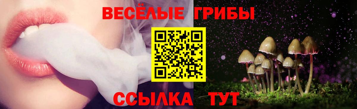 закладка  Псилоцибиновые грибы мухоморы  Вход с VPN  Гусиноозёрск 